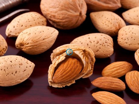 Một số lưu ý khi ăn hạt sơn trà, đào, hạnh nhân. Thực Vật