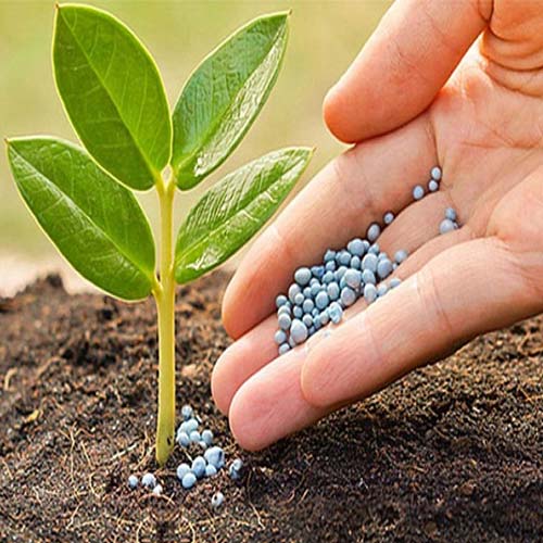 Một số vấn đề về phân bón hóa học. Thực Vật