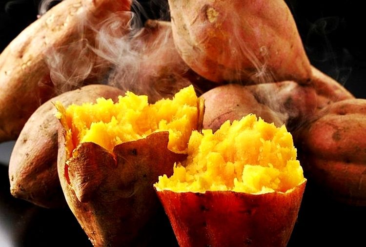 Tại sao khoai lang càng để lâu càng ngọt. Thực Vật