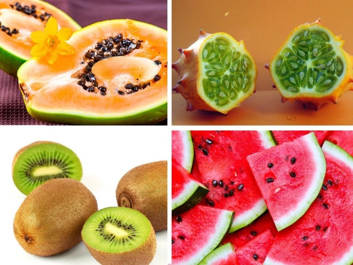 Tại sao thực vật lại có nhiều mùi vị khác nhau như vậy. Thực Vật