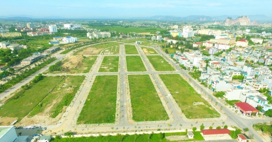 Tại sao trong thành phố cần có tỉ lệ diện tích đất xanh hóa nhất định. Thực Vật