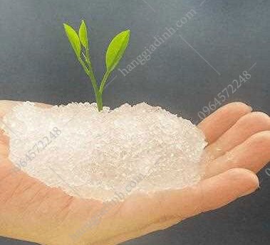 Thuốc chống hạn hán cho cây trồng. Thực Vật