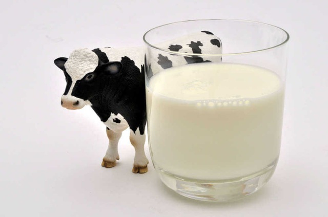 Sữa bò. Hợp và kỵ giữa các loại thực phẩm - Mẹo vặt trong cuộc sống hàng ngày
