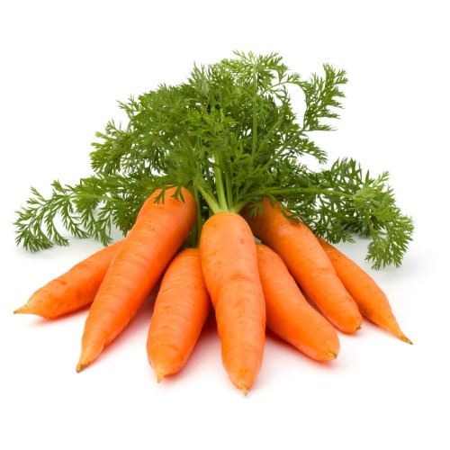 Cà rốt. Tác dụng chữa bệnh từ các loại rau - Mẹo vặt trong cuộc sống hàng ngày